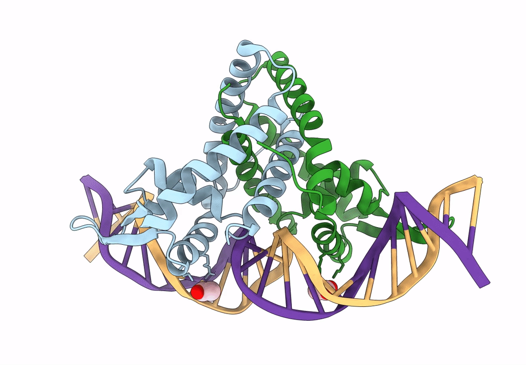 6Q2B image
