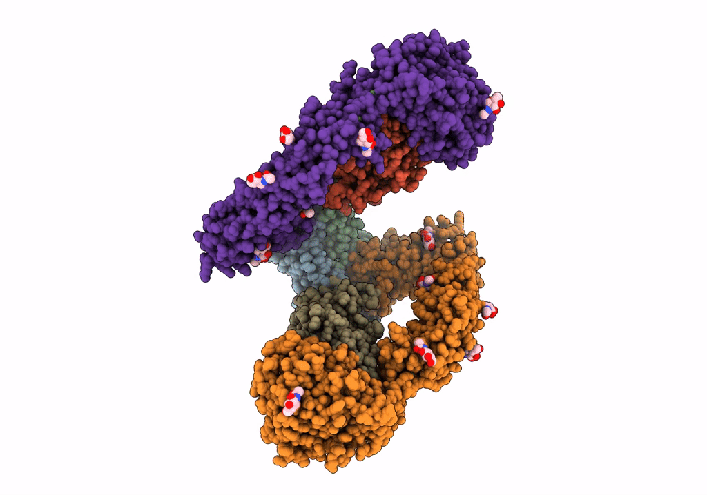 6Q2J image