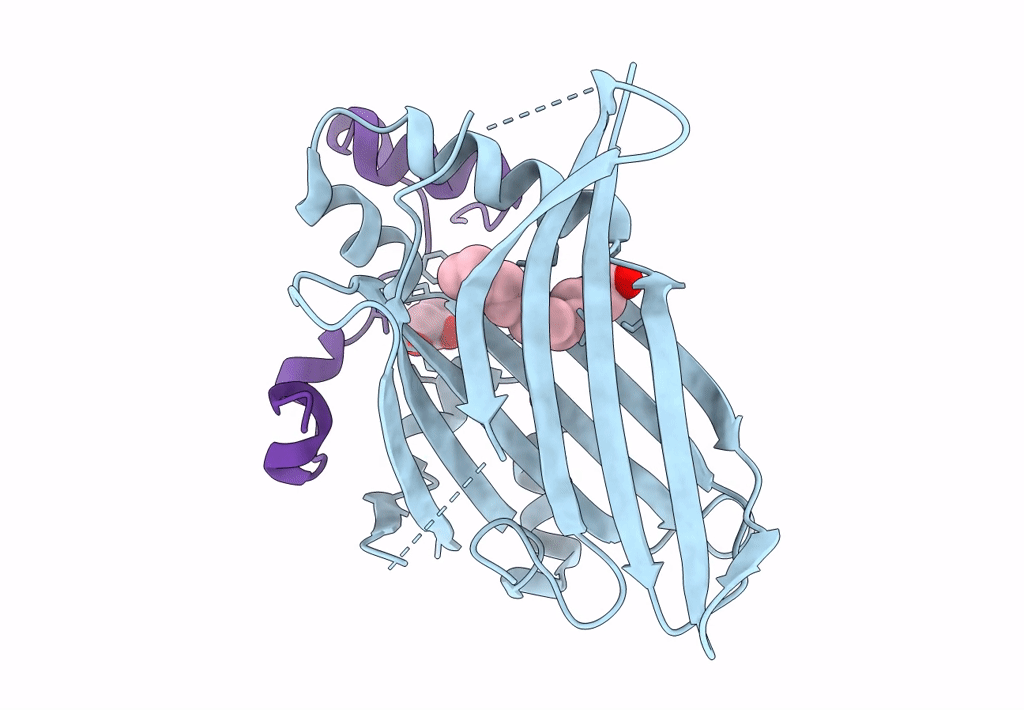 6Q2X image