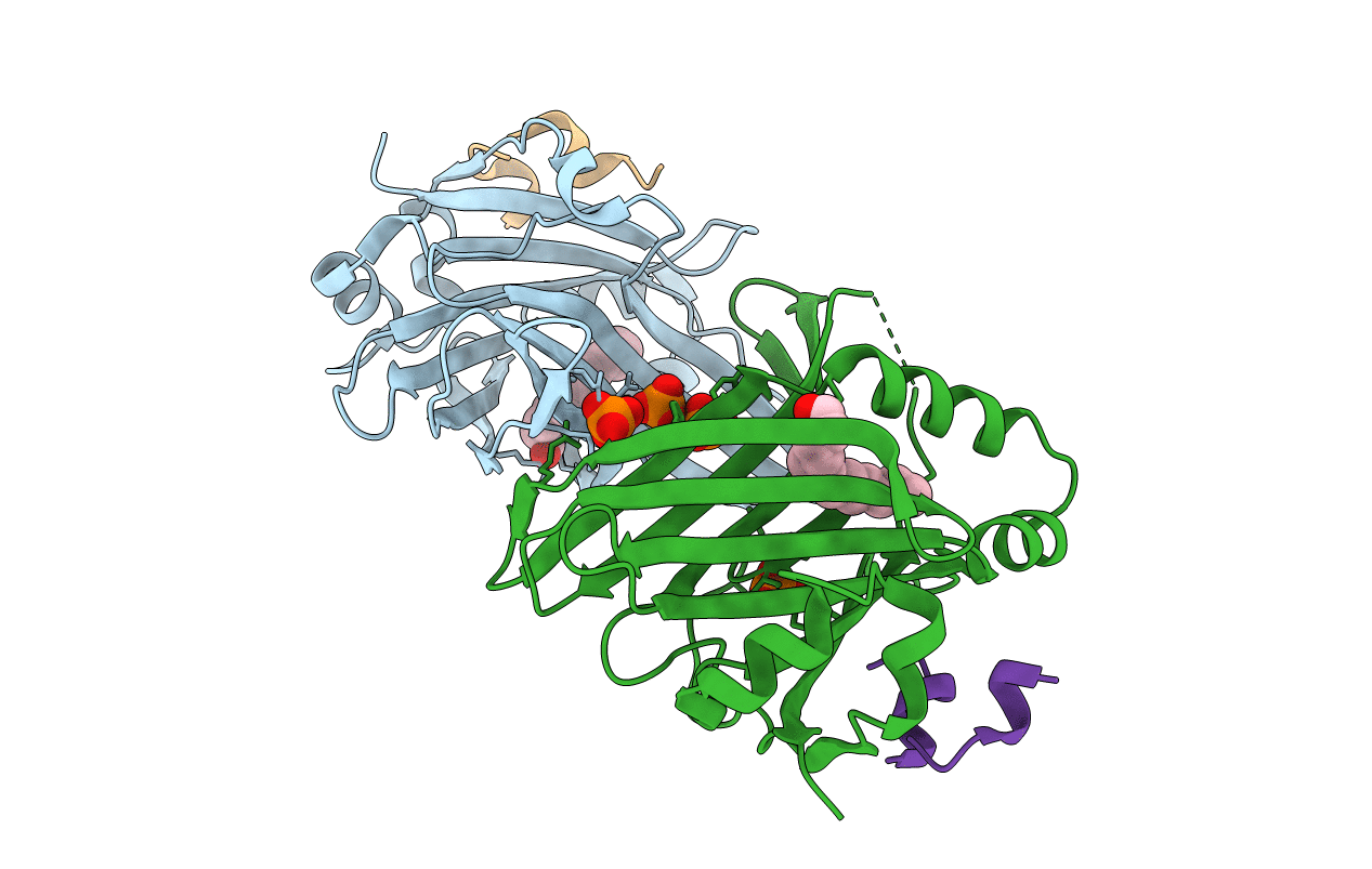 6Q36 image