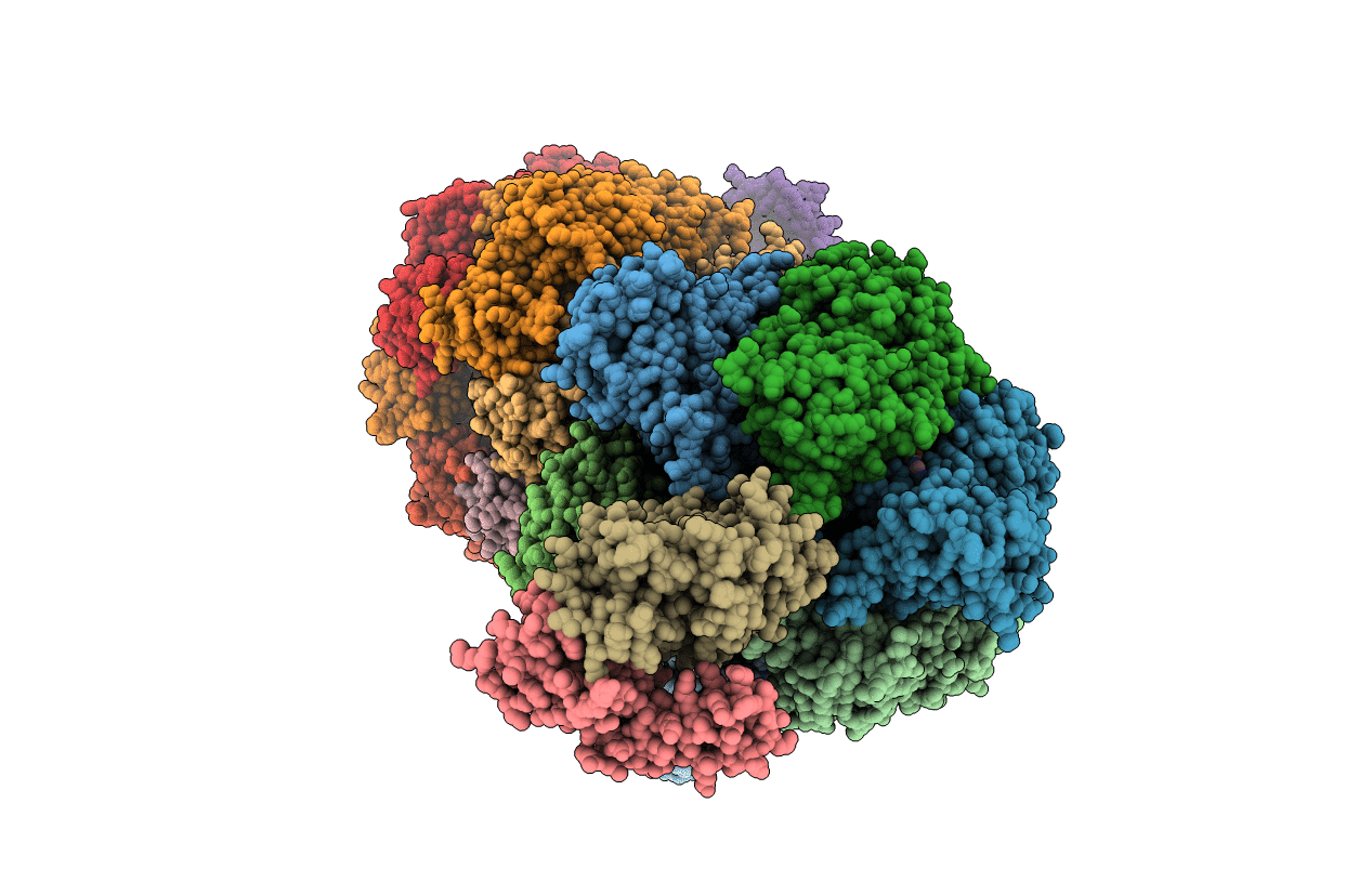 6Q45 image