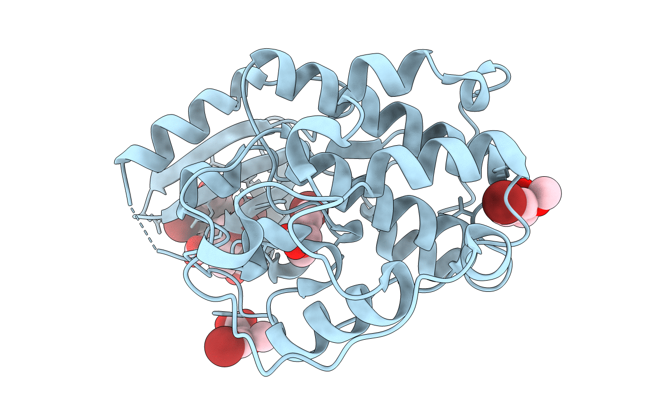 6Q4D image