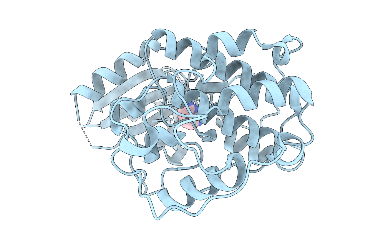 6Q4F image