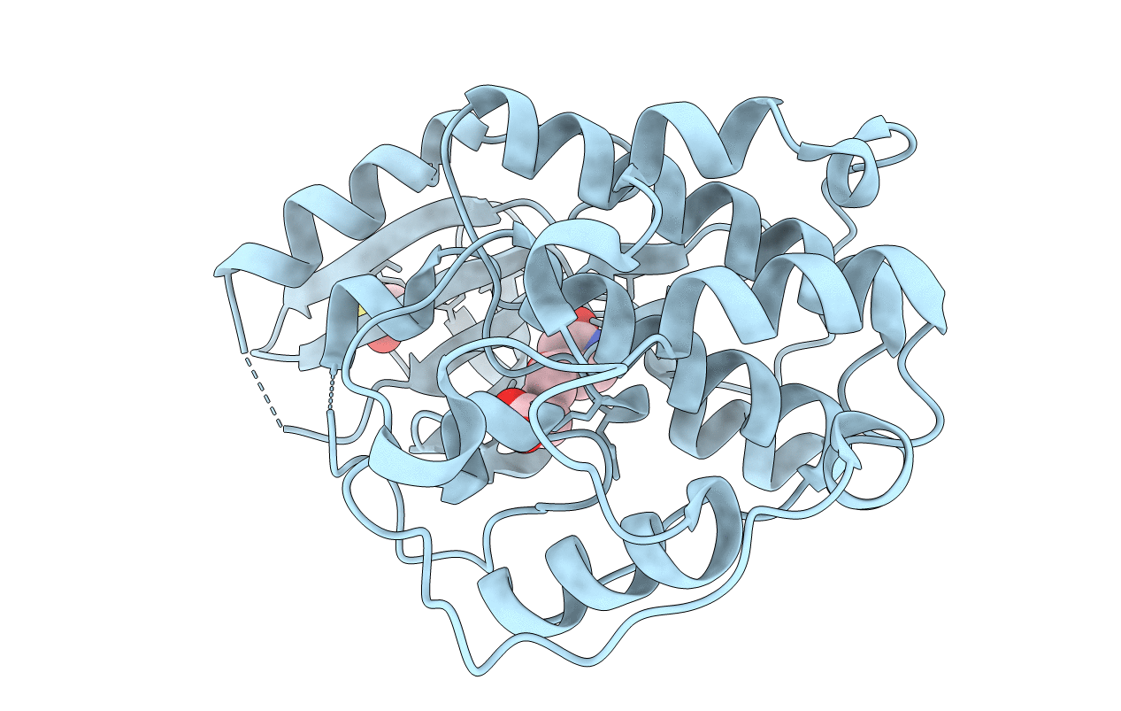 6Q4I image