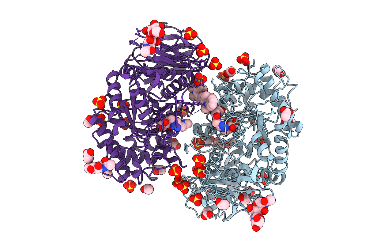 6Q6K image