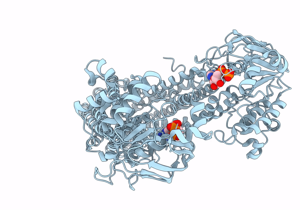 6Q81 image