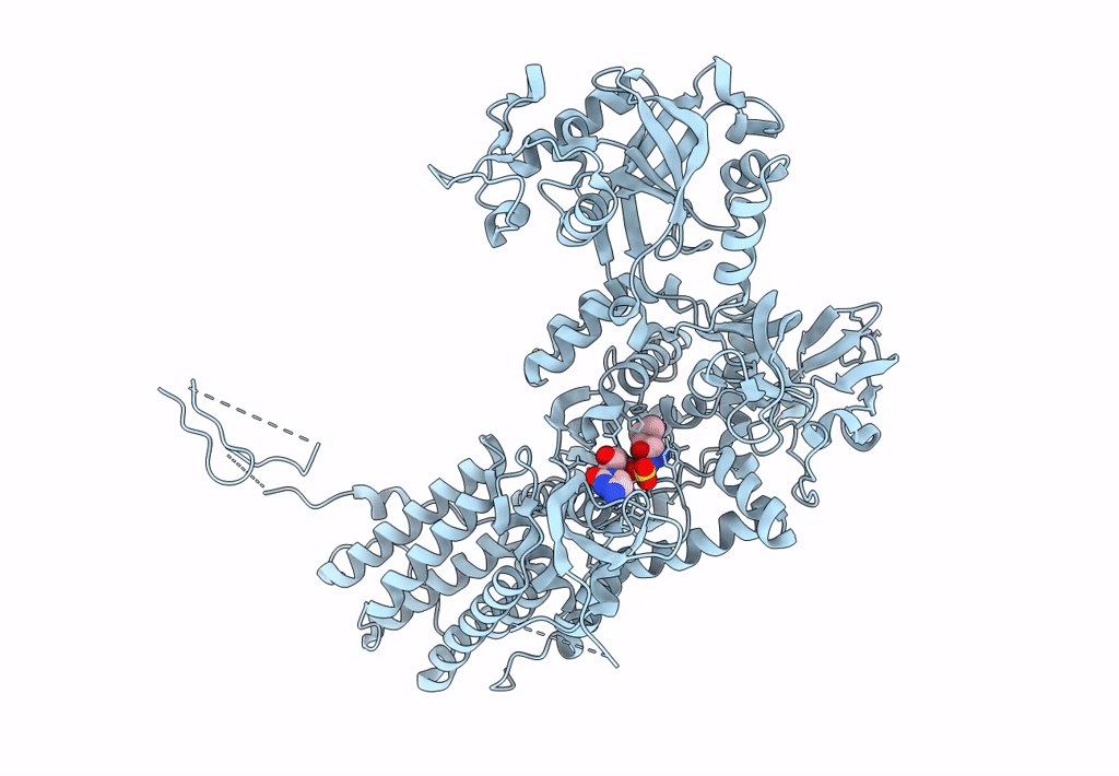 6Q8A image