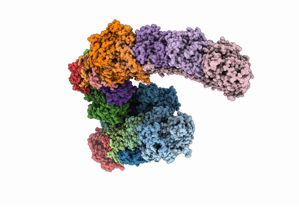 6Q8X image