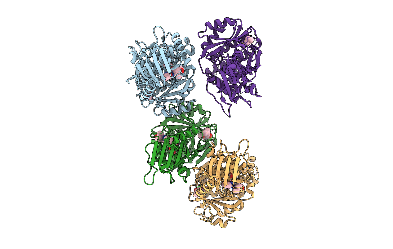 6Q91 image