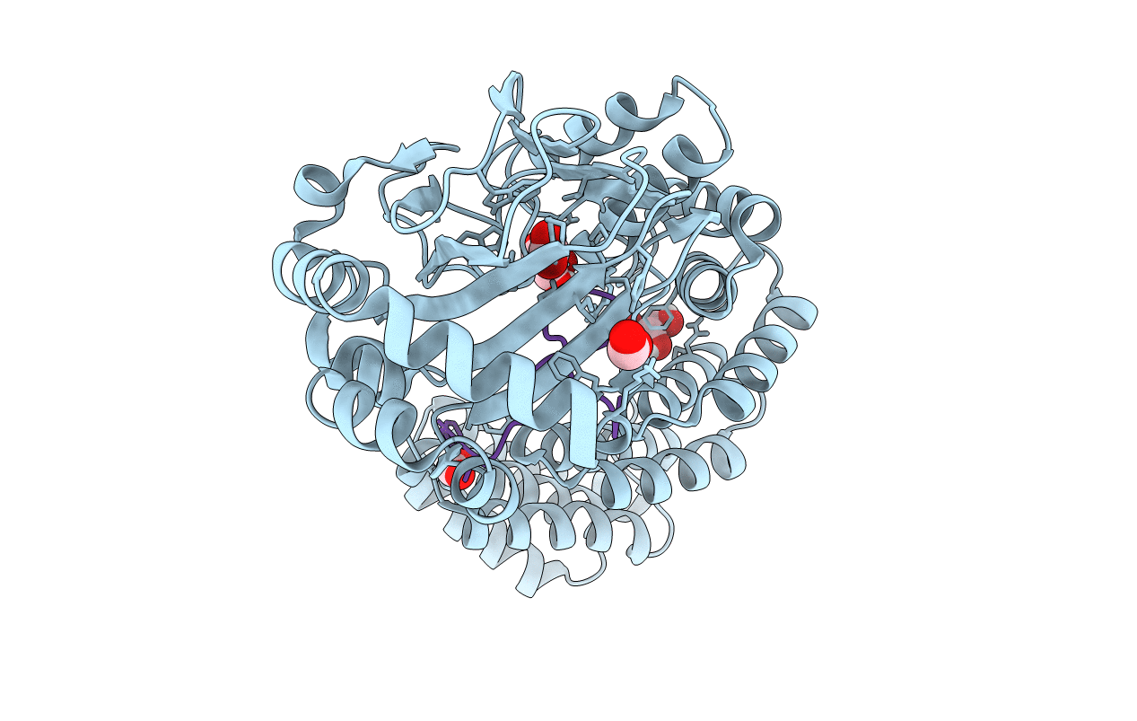 6Q9I image