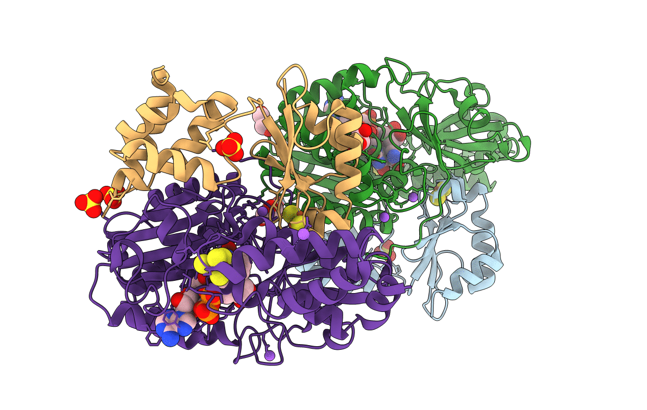 6Q9K image