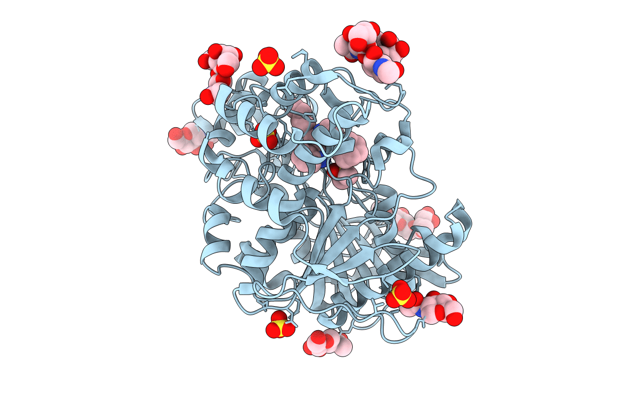 6QAC image