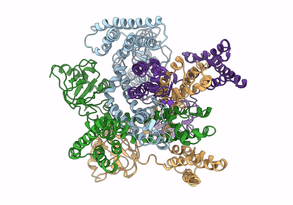 6QD3 image