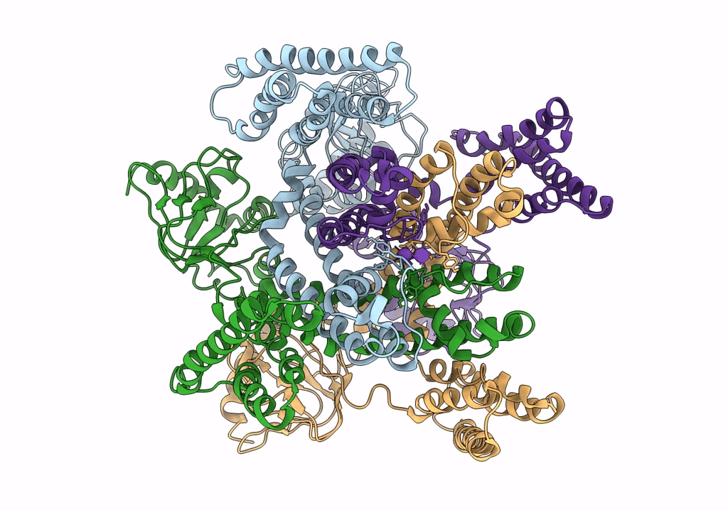 6QD4 image