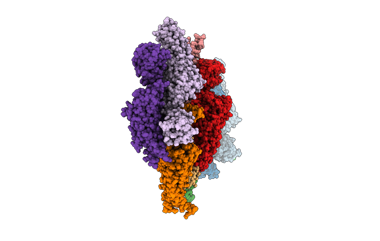 6QD6 image