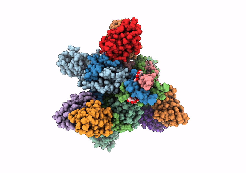 6QD8 image