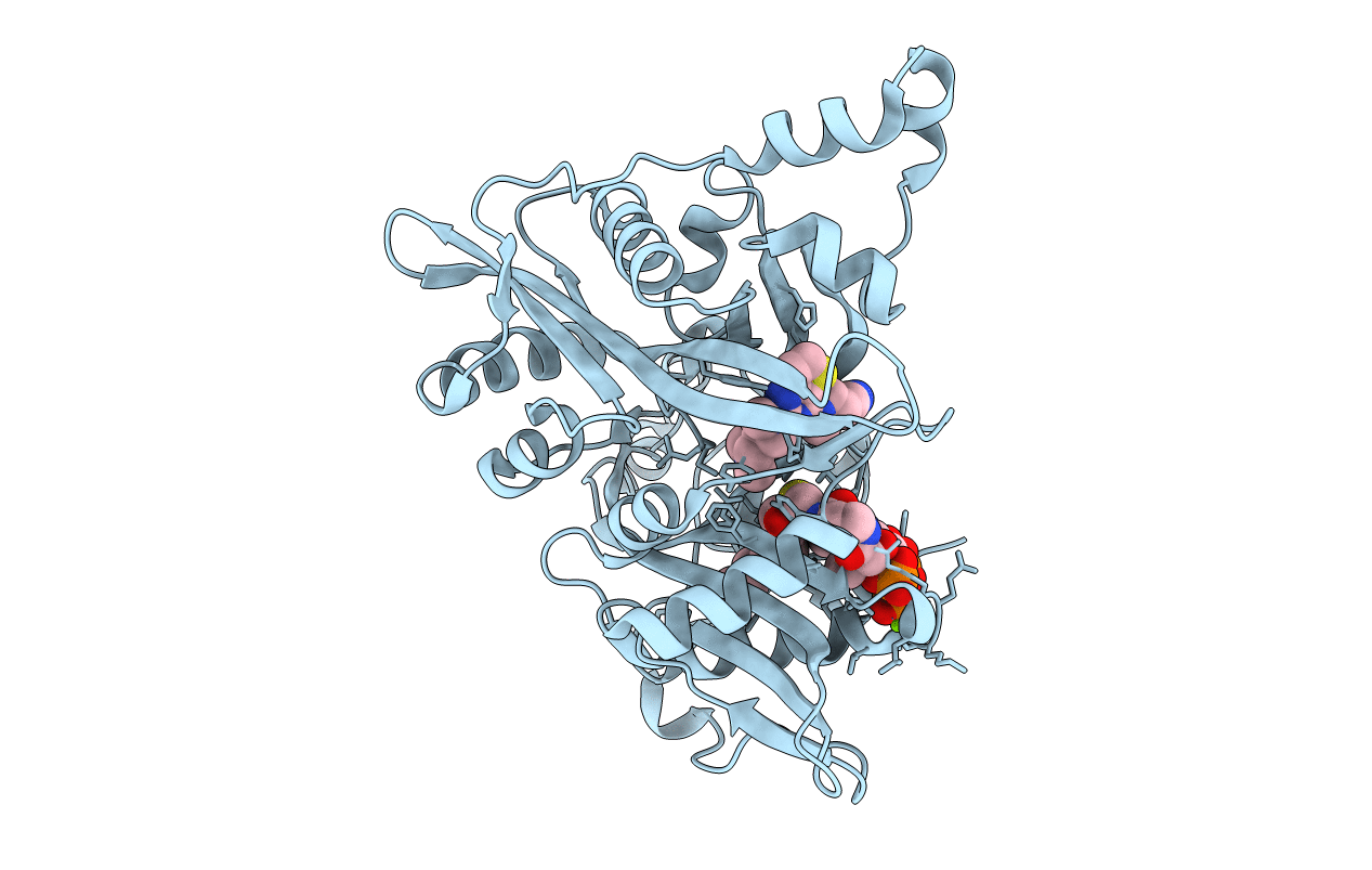 6QD9 image