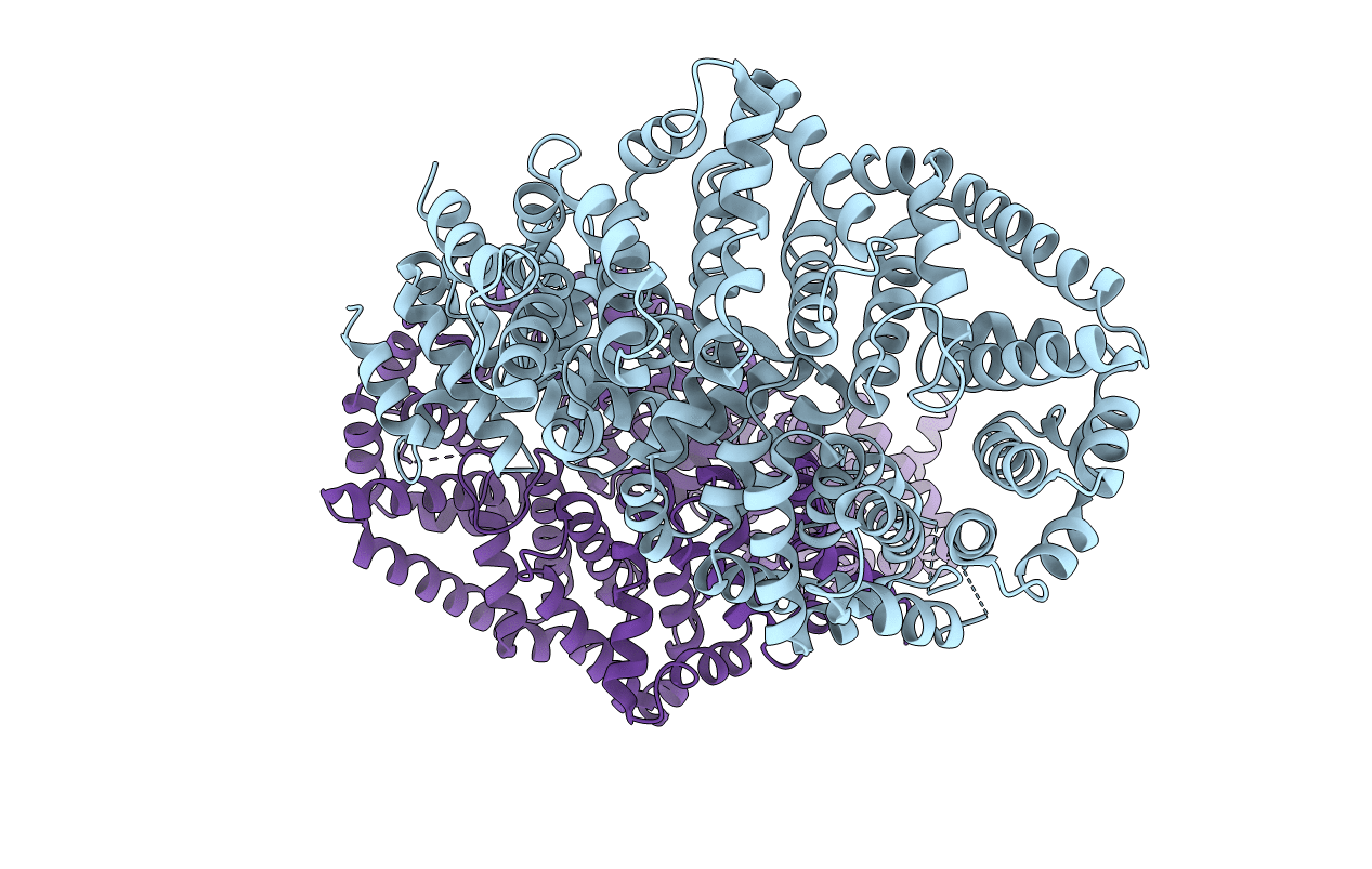 6QDM image