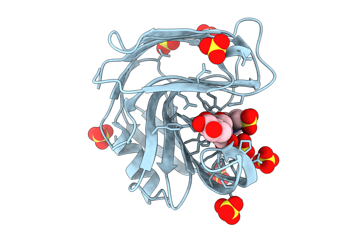 6QE8 image