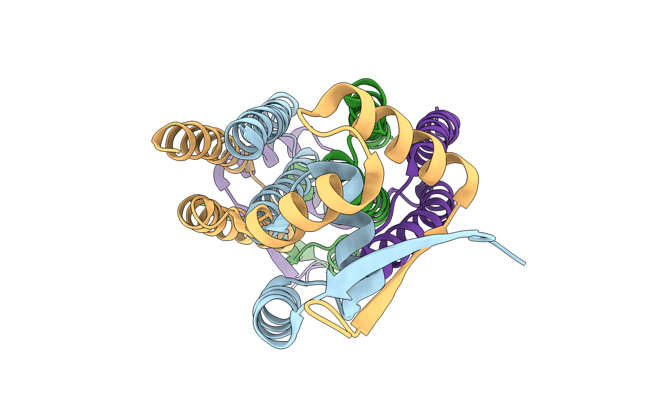 6QEQ image