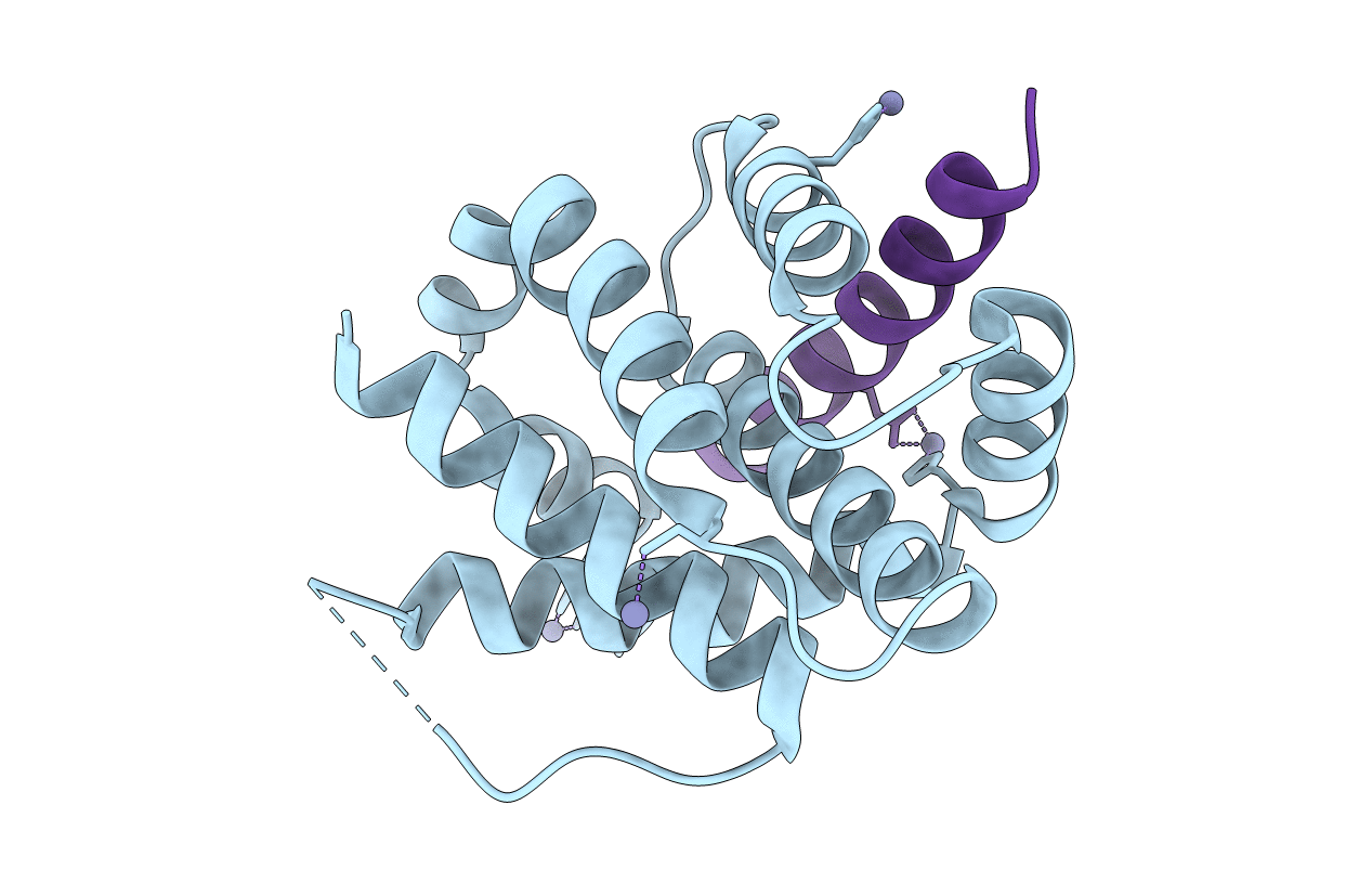 6QFI image