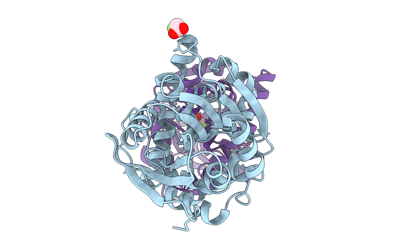 6QHX image