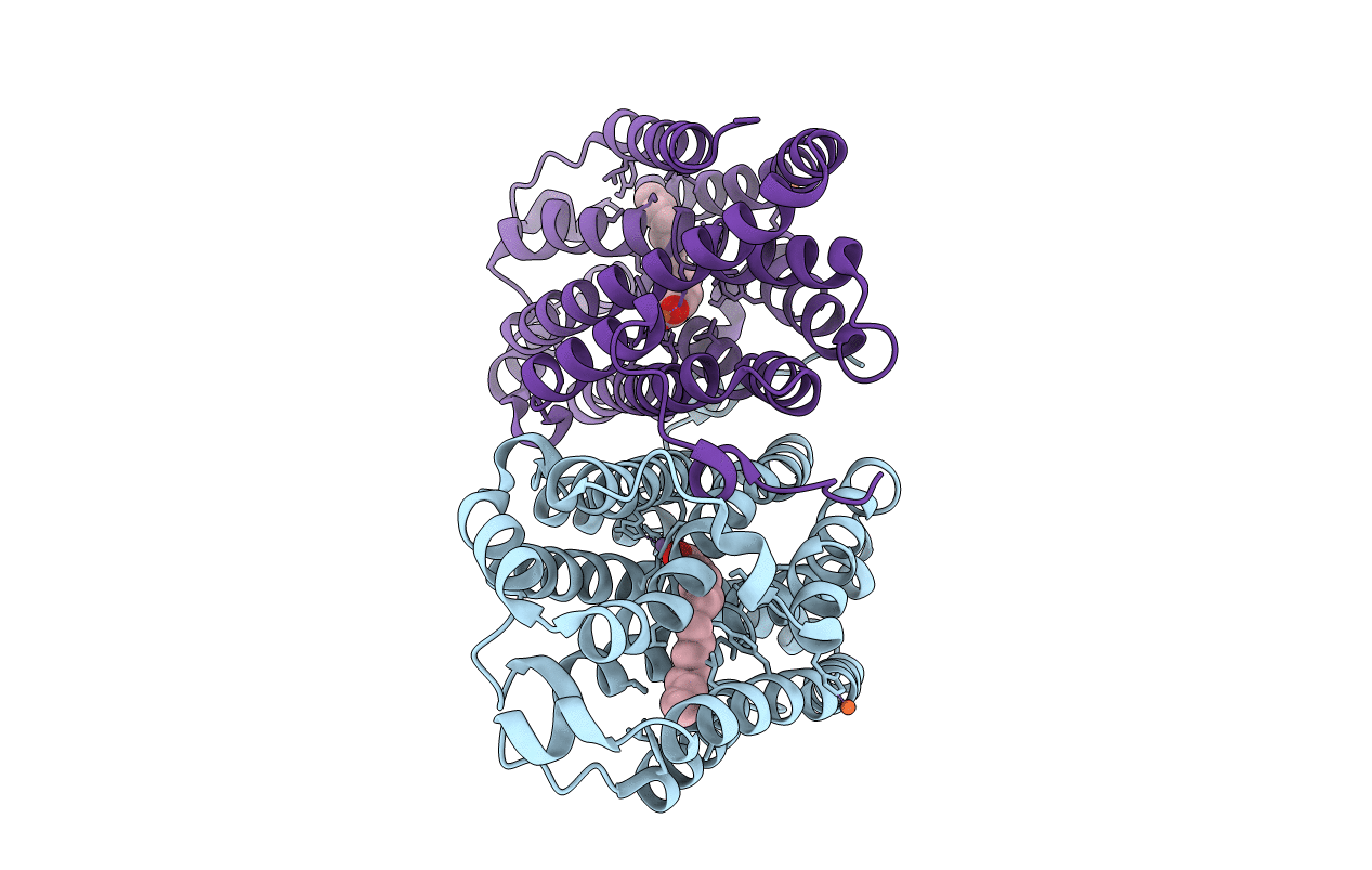 6QK2 image