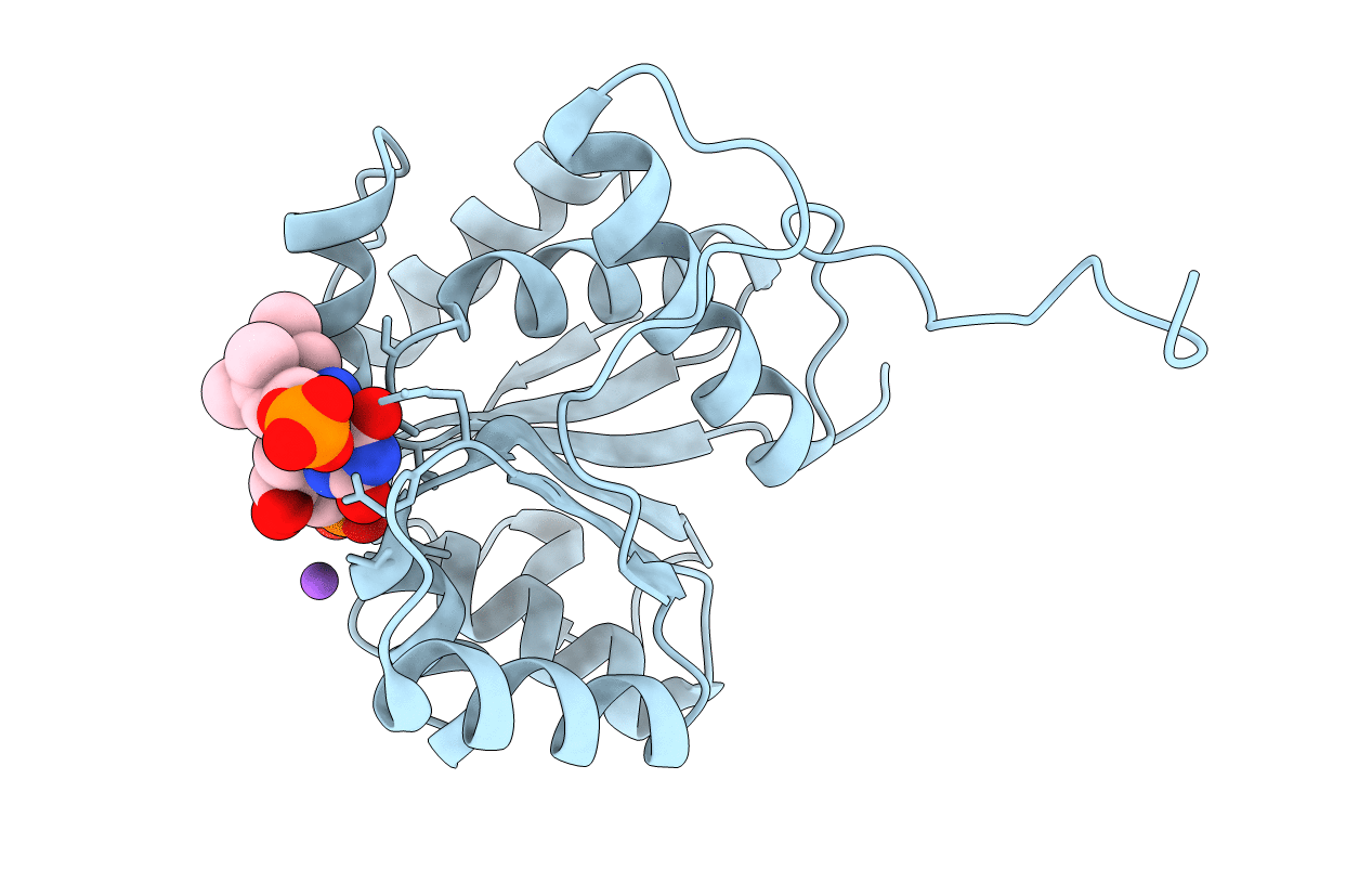 6QLL image