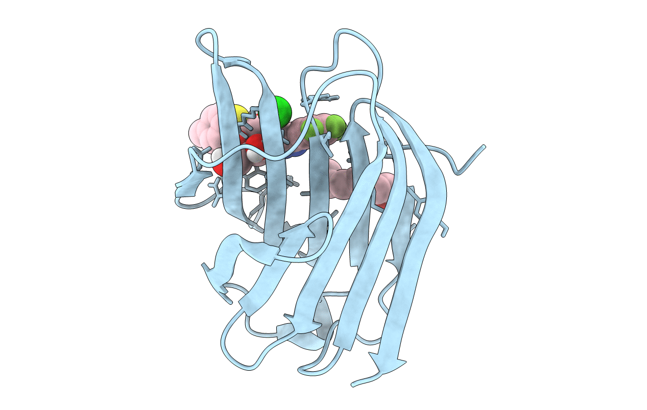 6QLP image