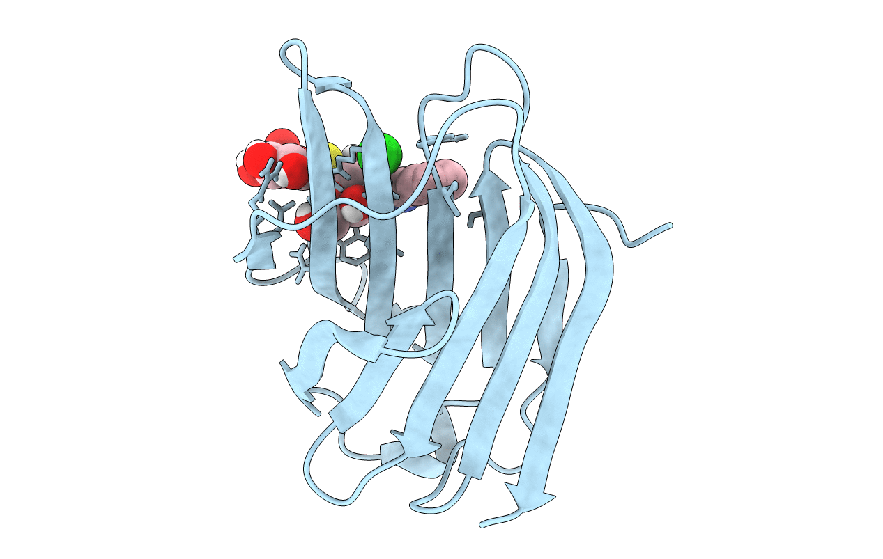 6QLS image