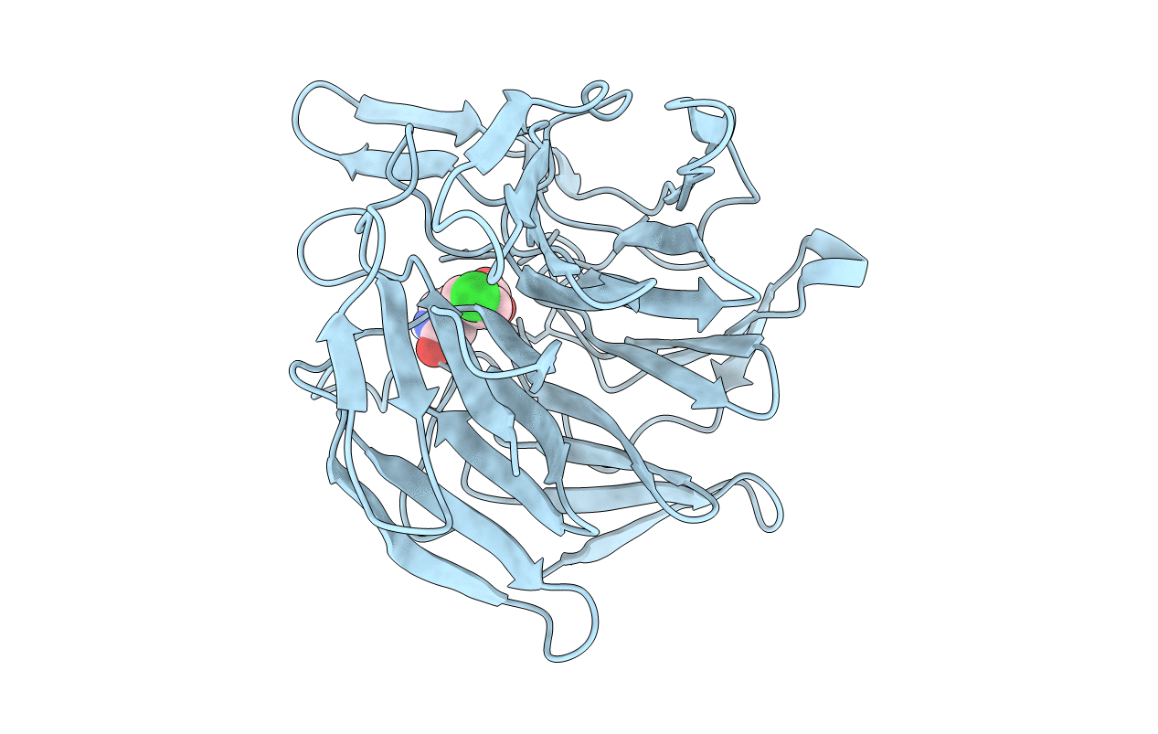 6QMC image