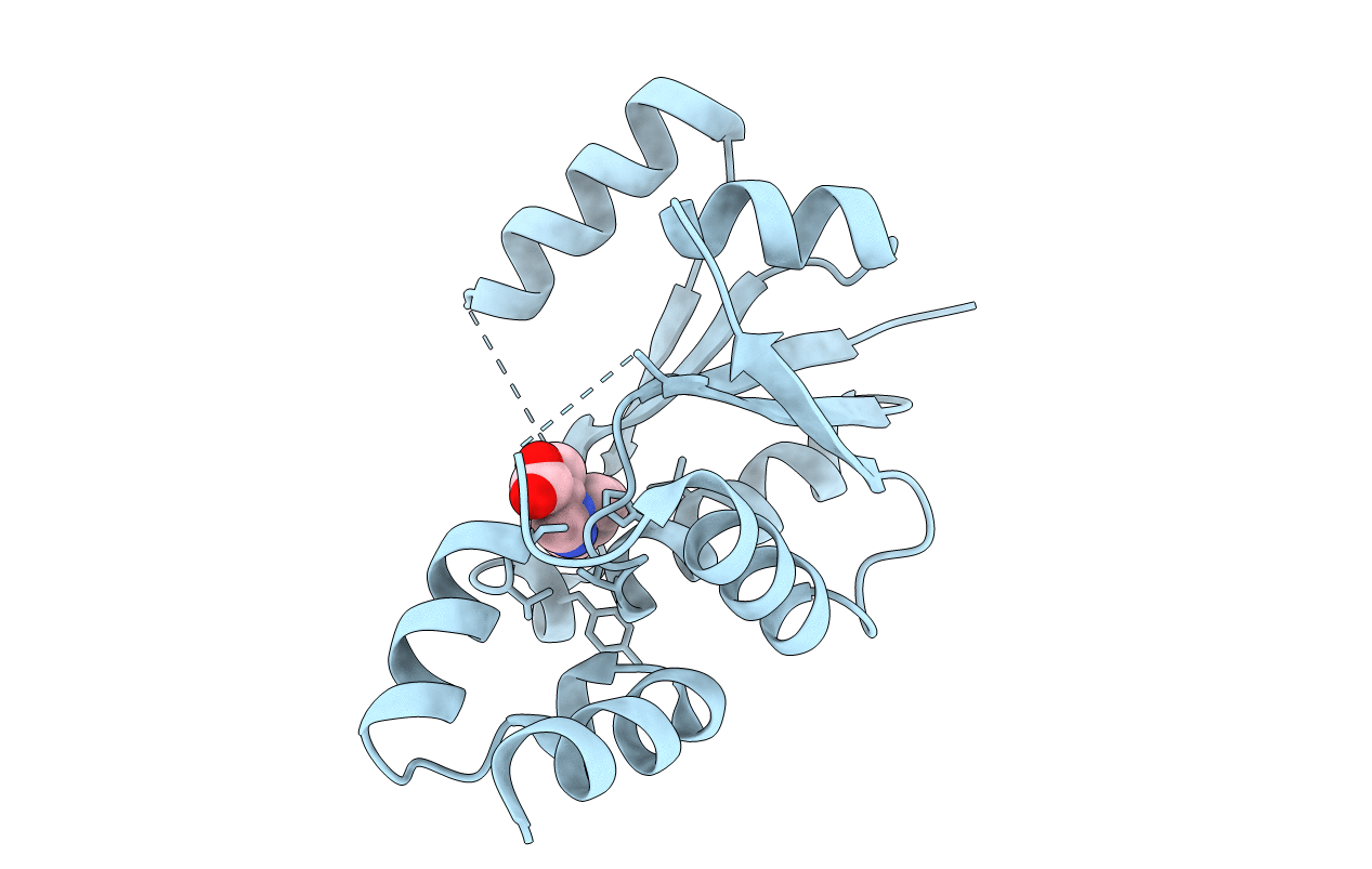 6QMI image