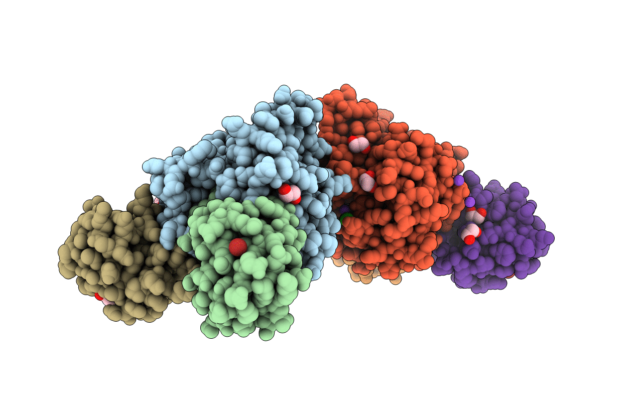 6QML image