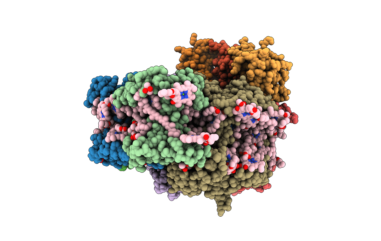 6QPH image