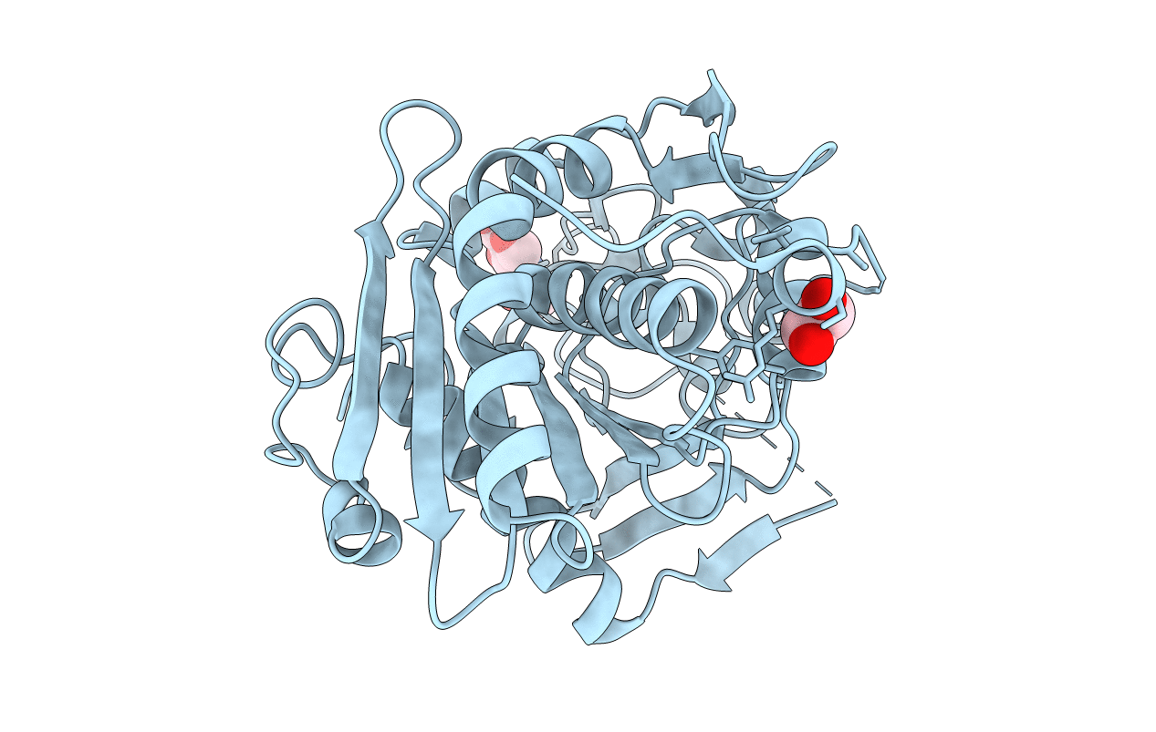 6QPP image