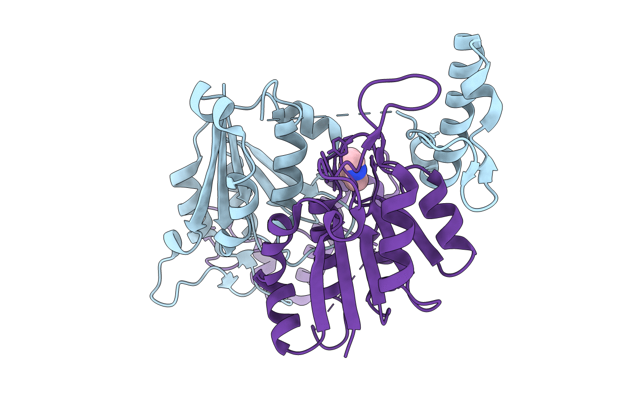 6QQR image