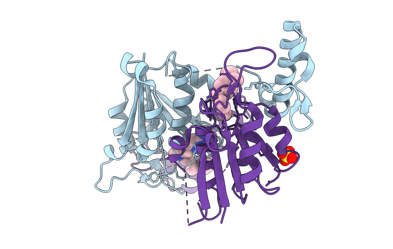 6QRA image