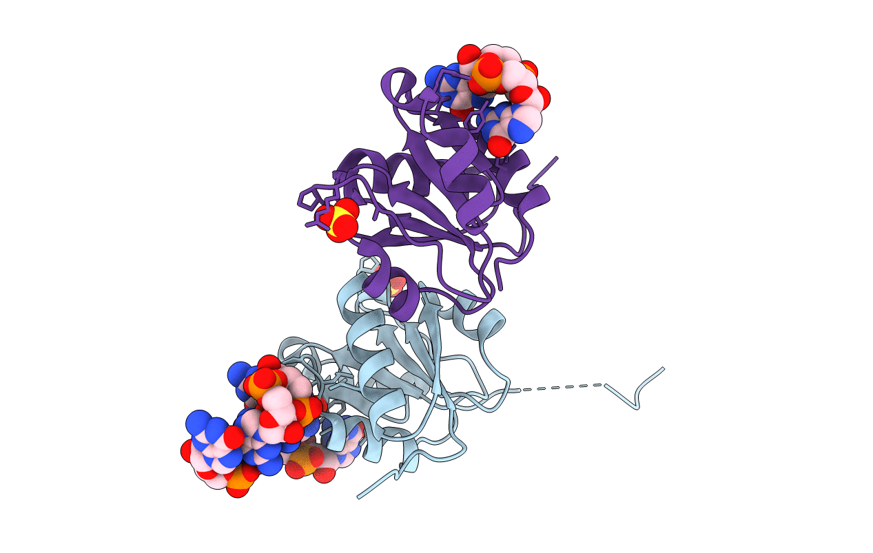 6QRL image