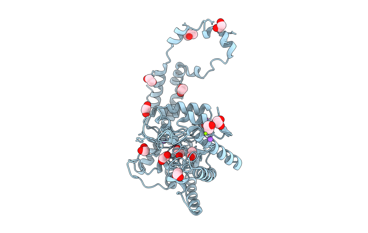 6QRR image