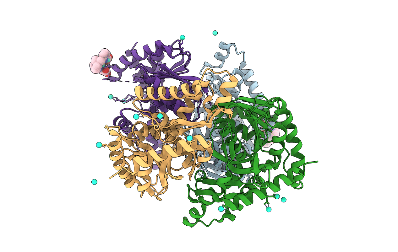 6QSS image