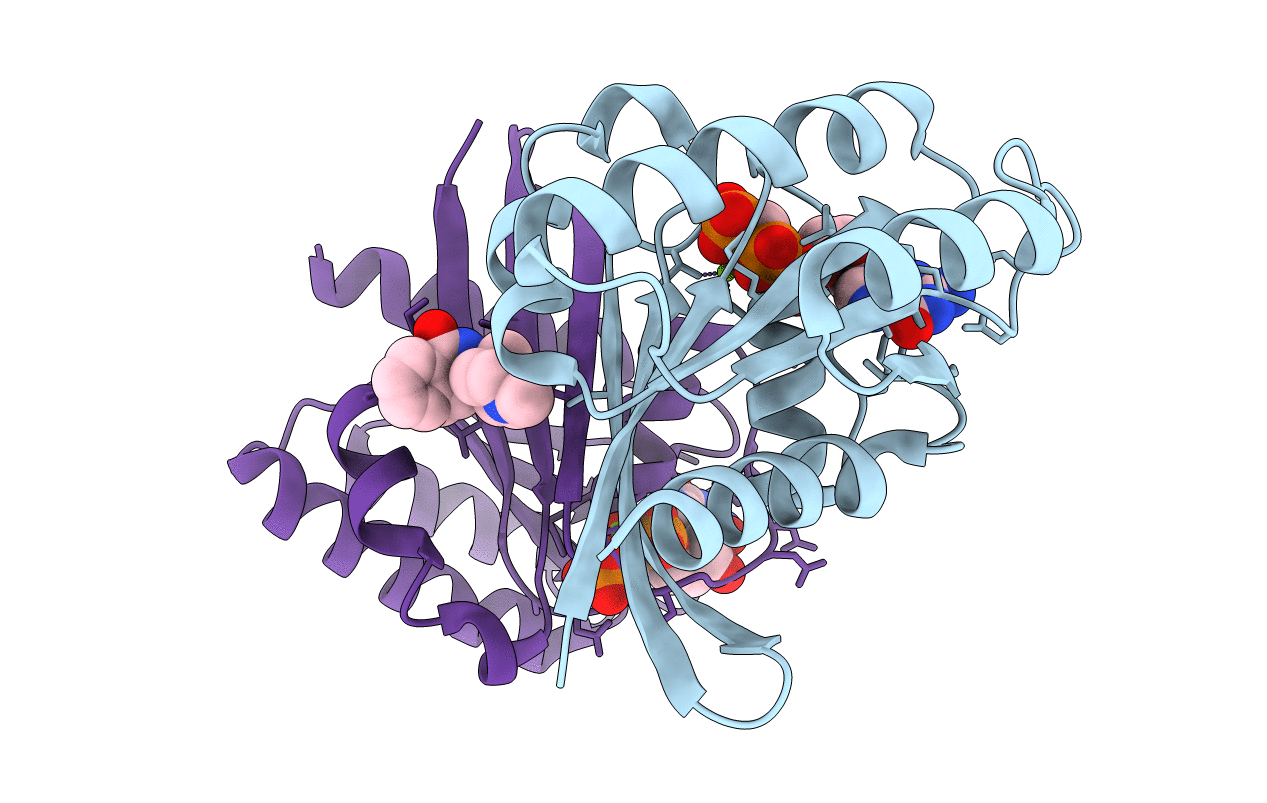 6QUV image