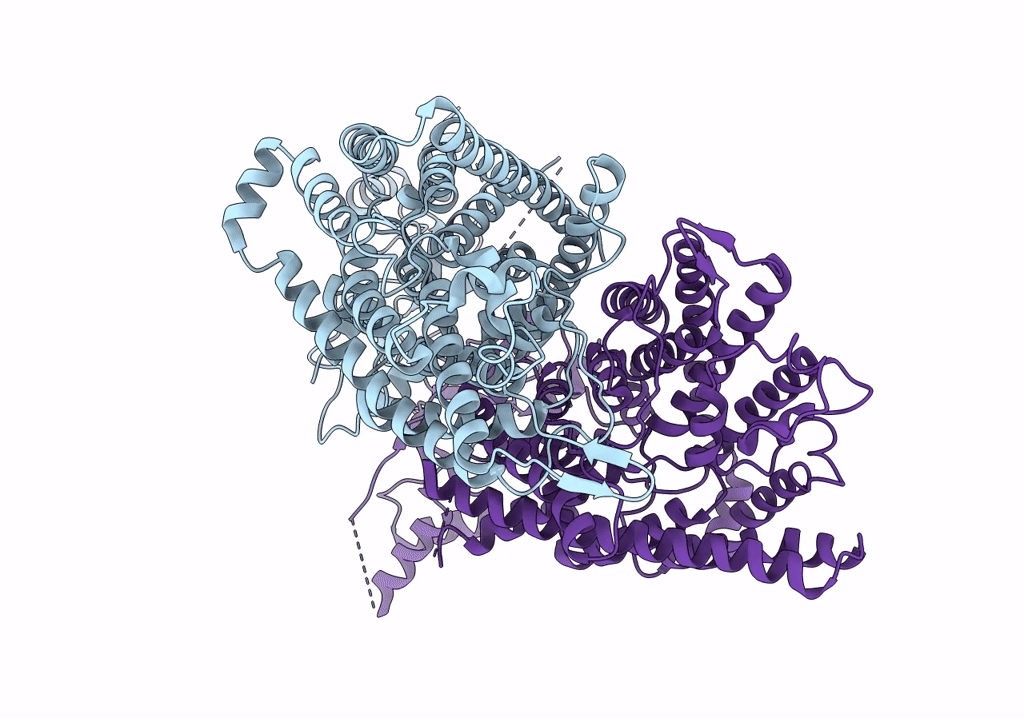 6QVD image
