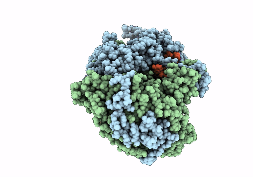 6QX3 image