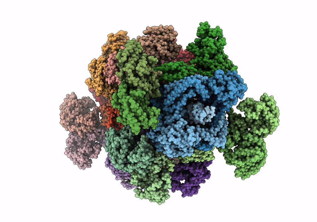 6QXT image