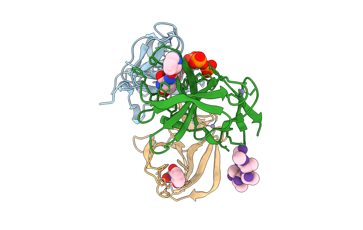 6R19 image