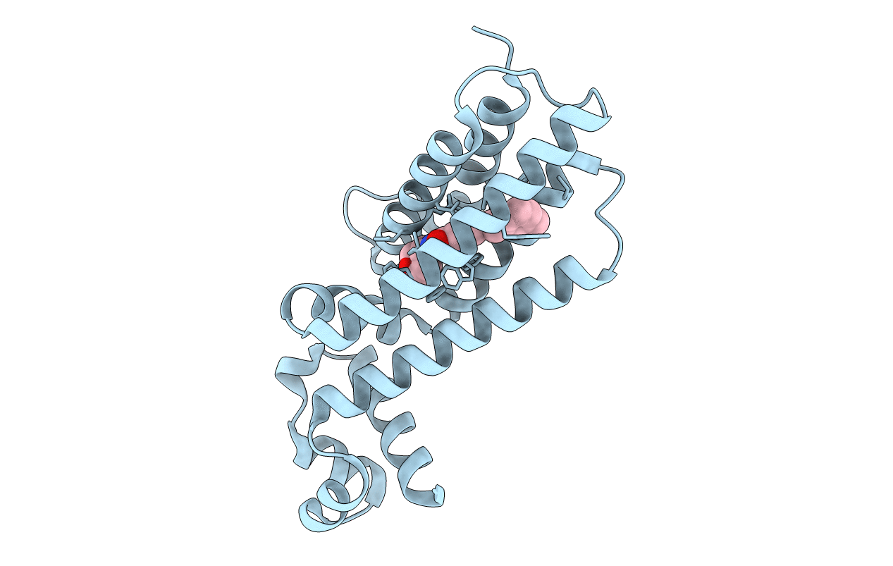 6R1S image