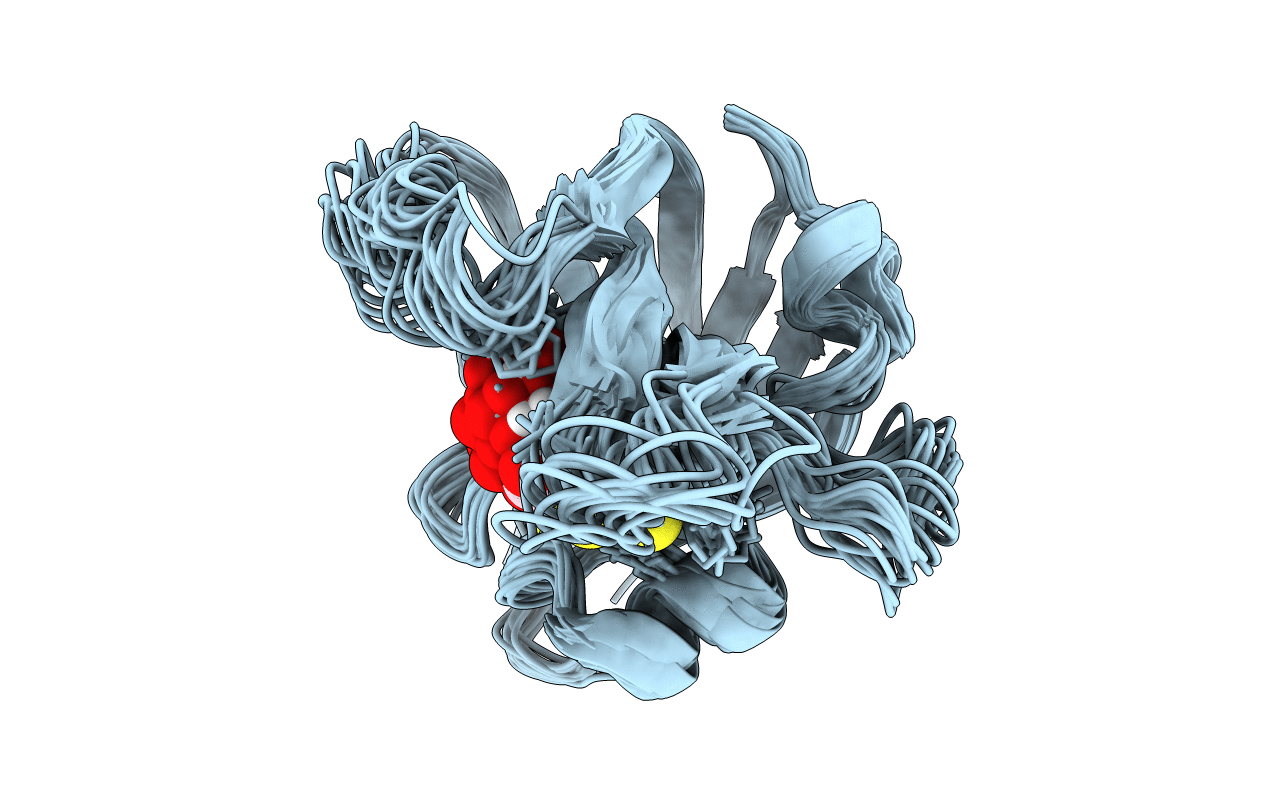 6R1V image