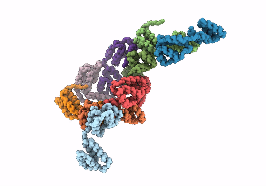 6R24 image