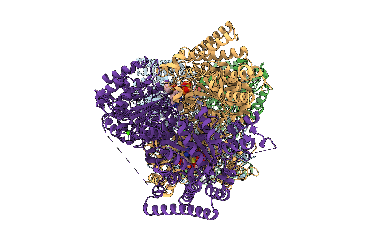 6R2C image