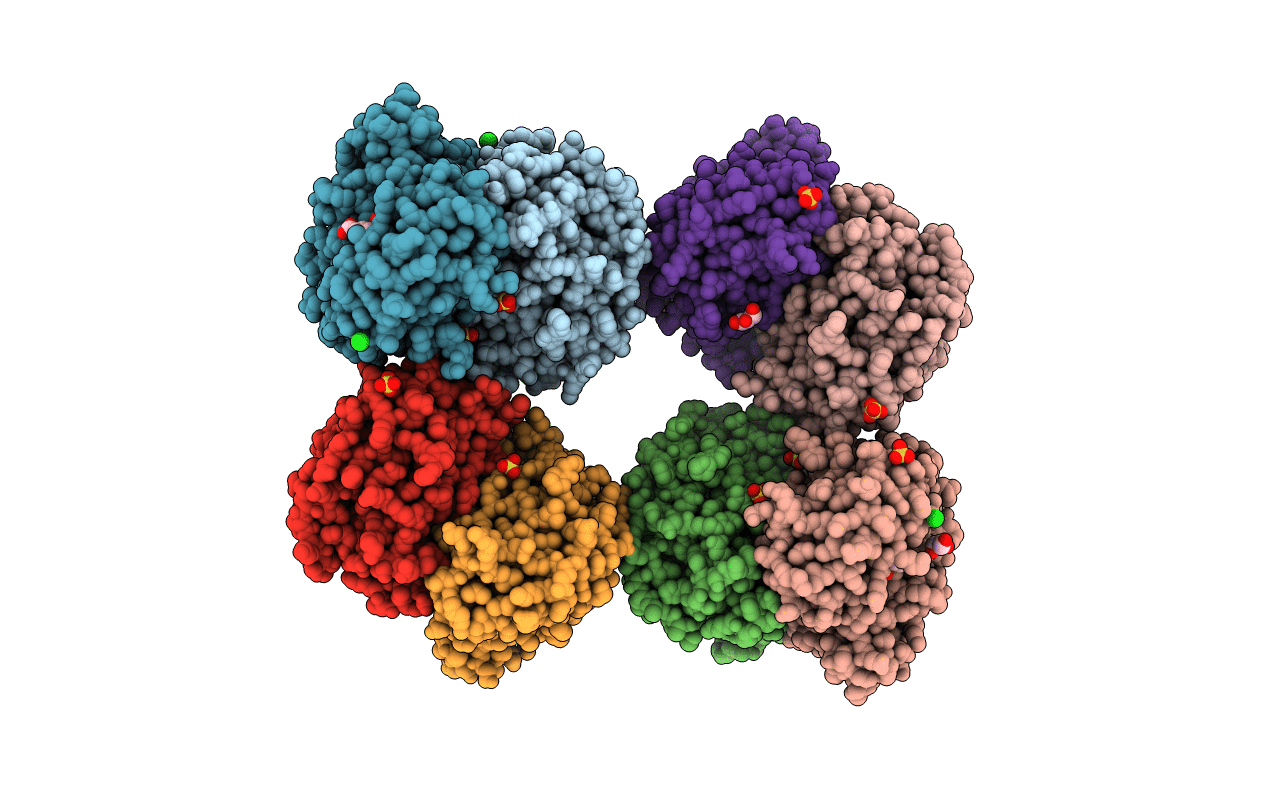 6R2E image